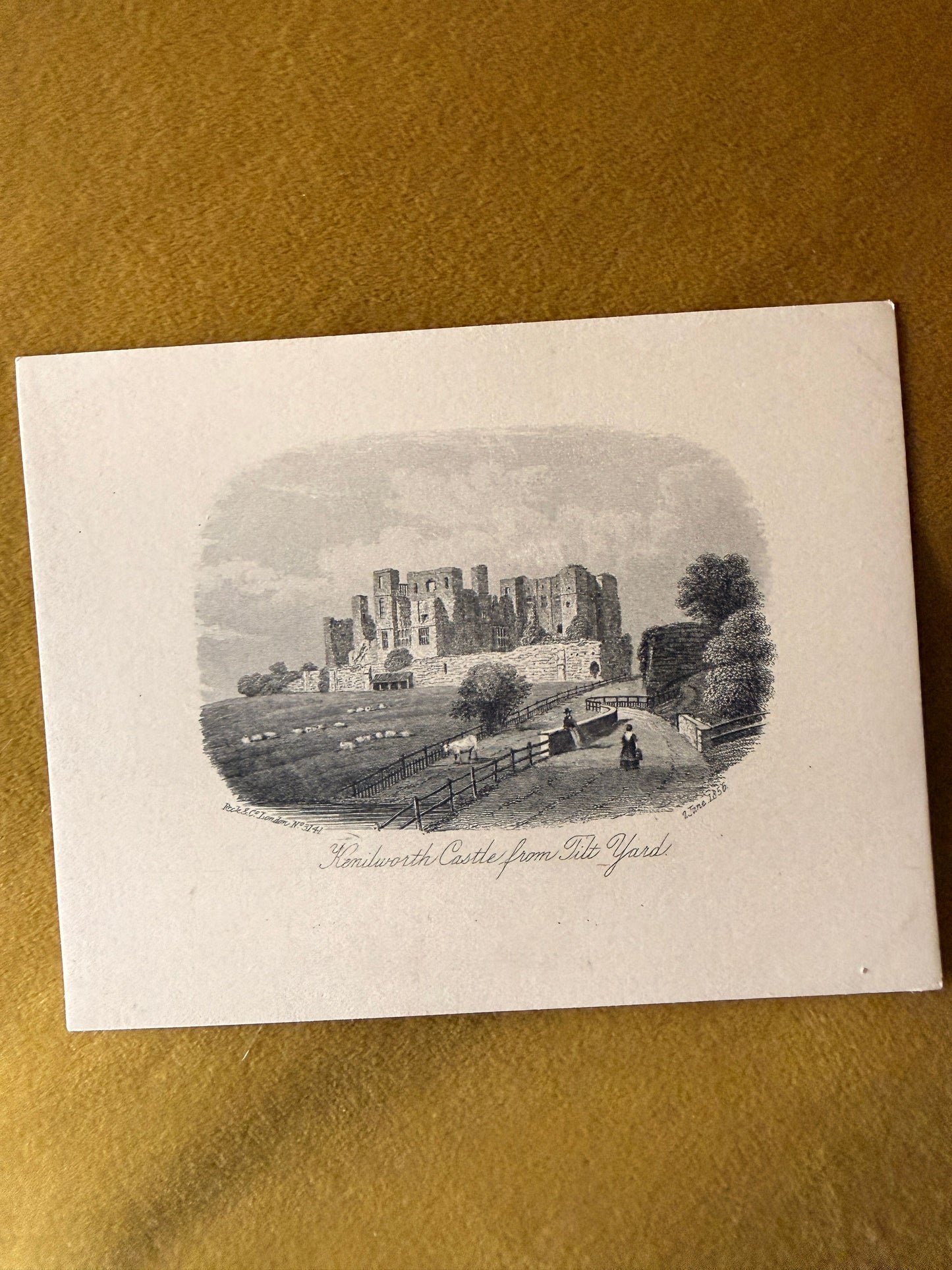 Kenilworth Castle from Tilt Yard