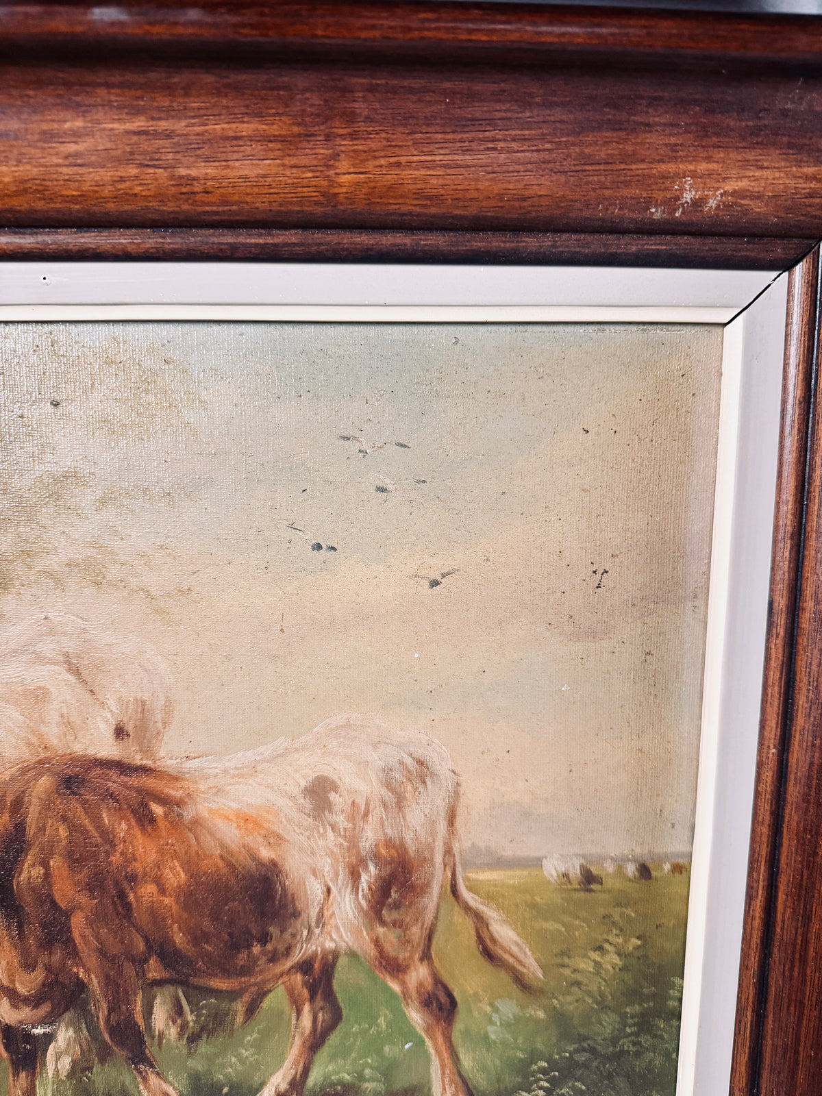 Antique cows in a muted pasture, signed, oil on canvas