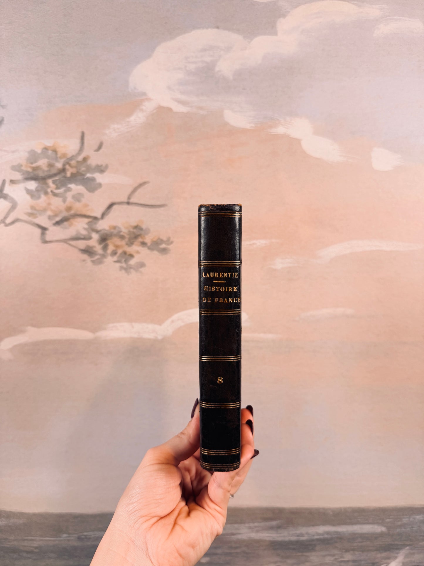 1858 "Histoire de France" book [French]