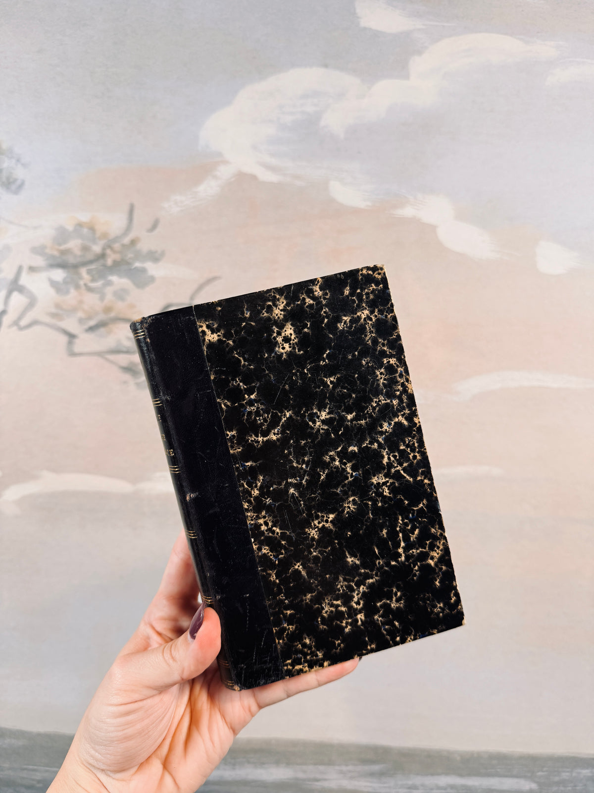 1858 "Histoire de France" book [French]