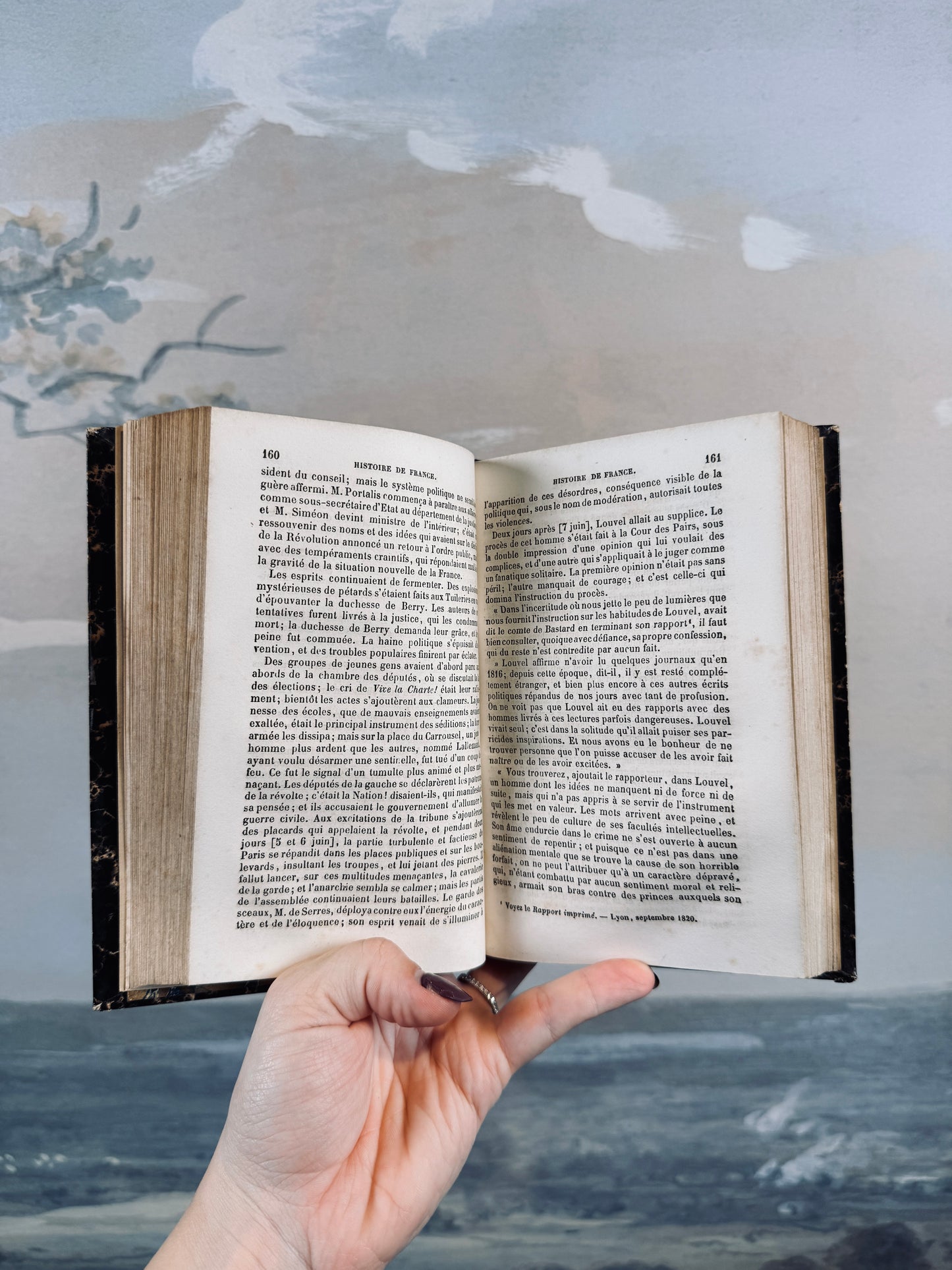 1858 "Histoire de France" book [French]
