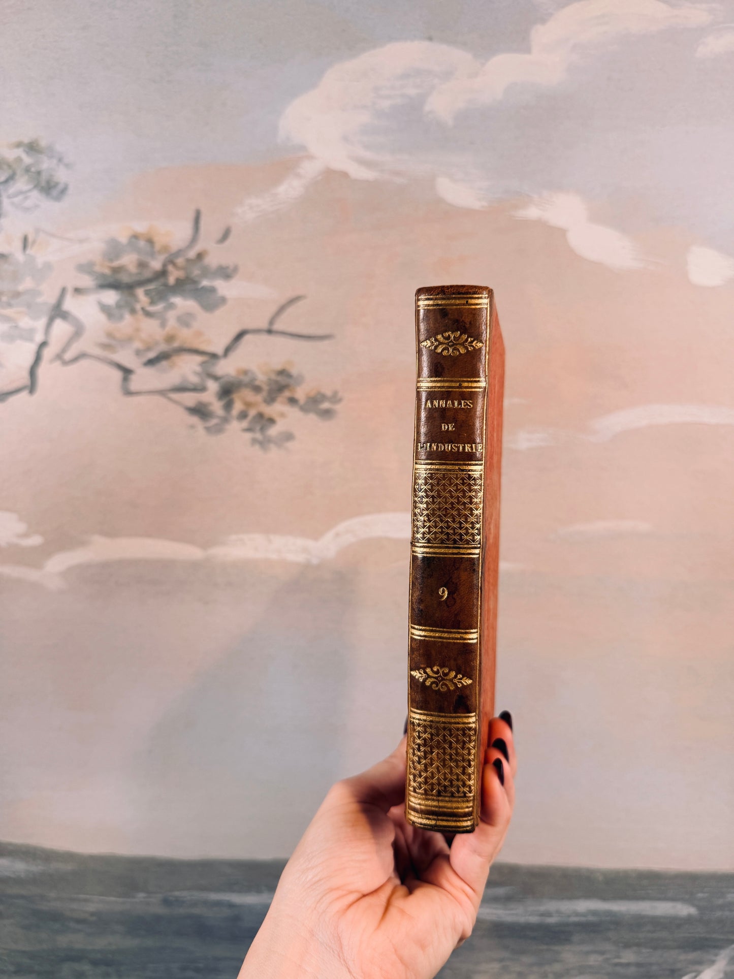 1823 "Annales de l'industrie nationale" book [French]