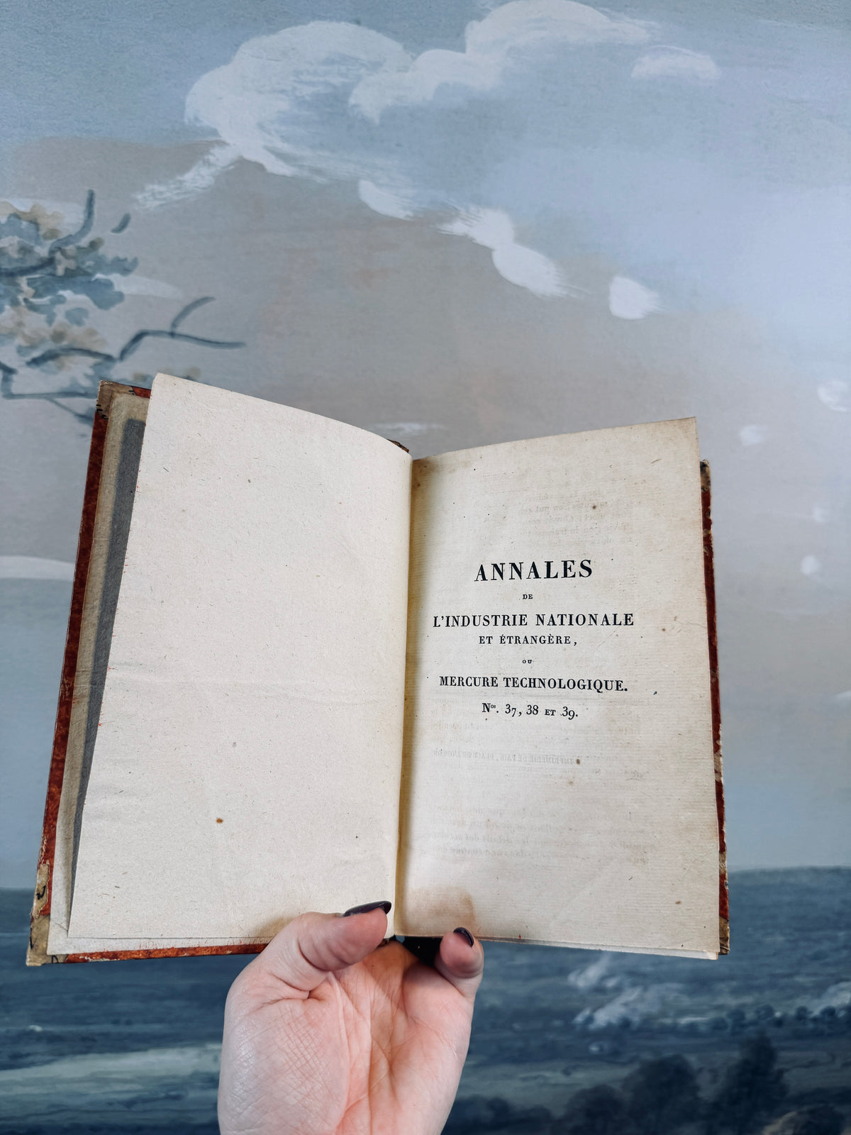 1823 "Annales de l'industrie nationale" book [French]