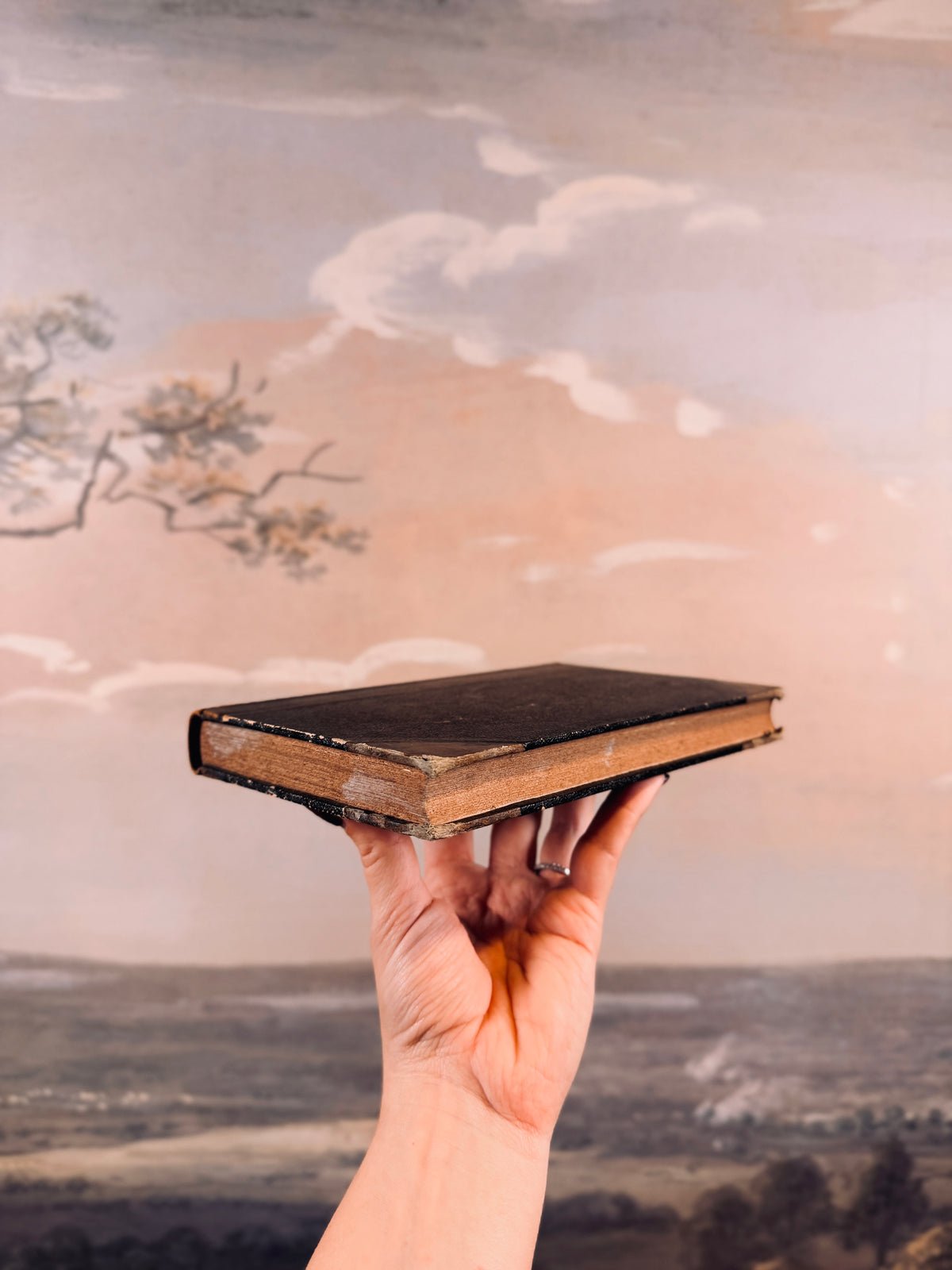 1828 "Oeuvres de N.F. Bellart" book [French]