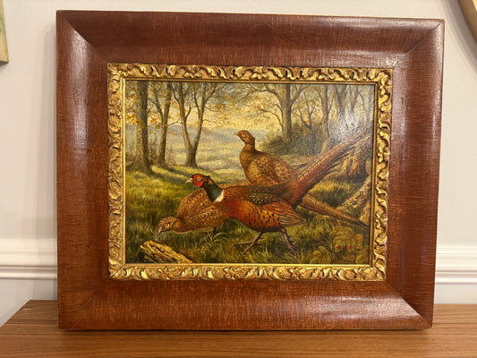Antique Oil on Board Pheasant Painting - Woodland Game Birds Scene