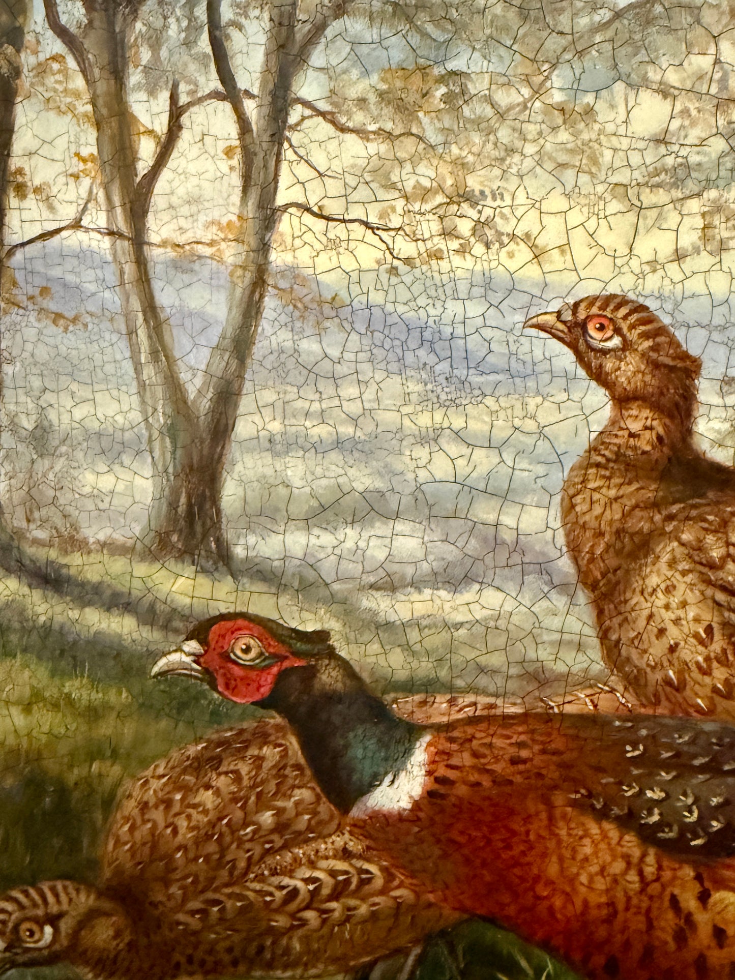 Antique Oil on Board Pheasant Painting - Woodland Game Birds Scene