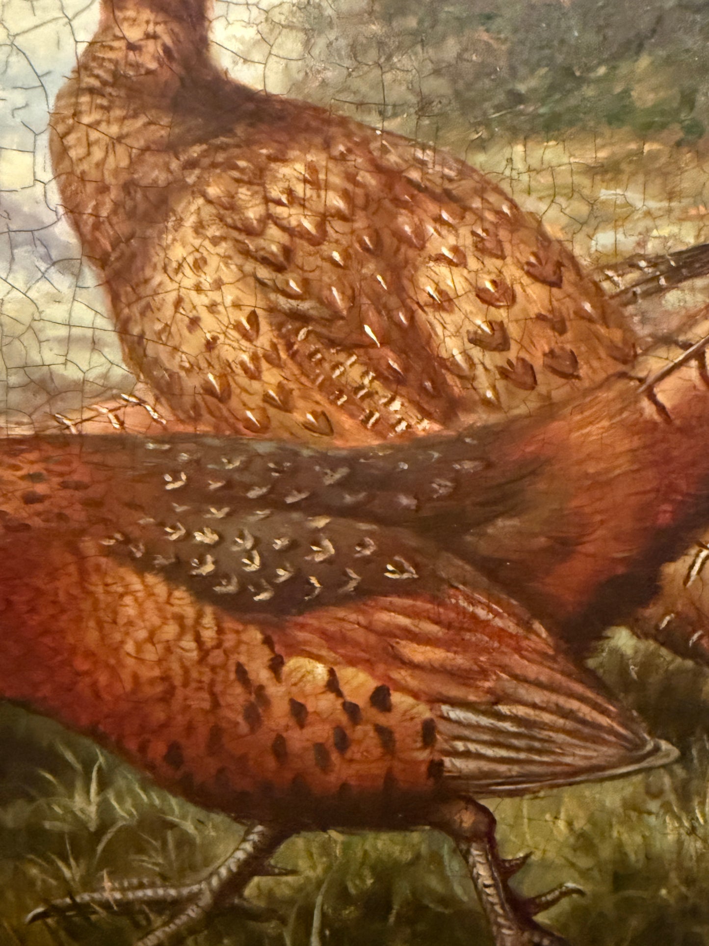 Antique Oil on Board Pheasant Painting - Woodland Game Birds Scene