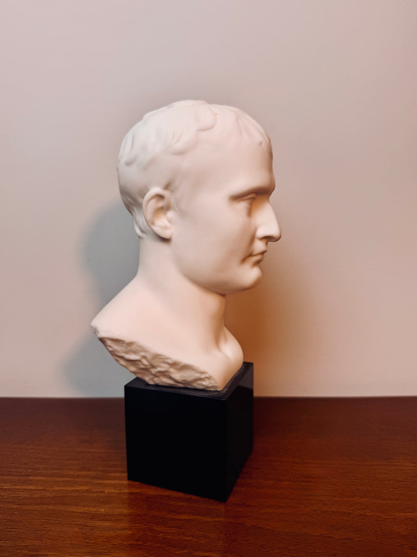 Marble bust of Napoleon Bonaparte